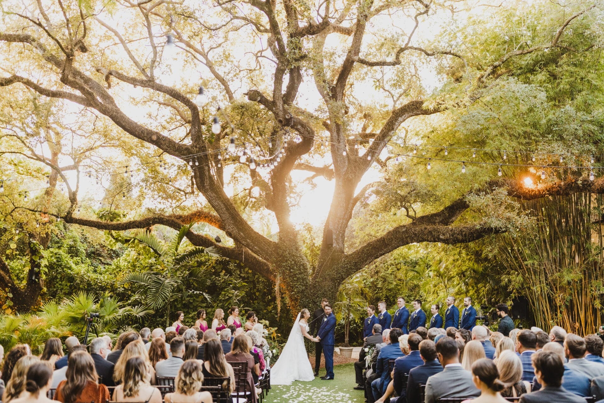 a couple under a tree