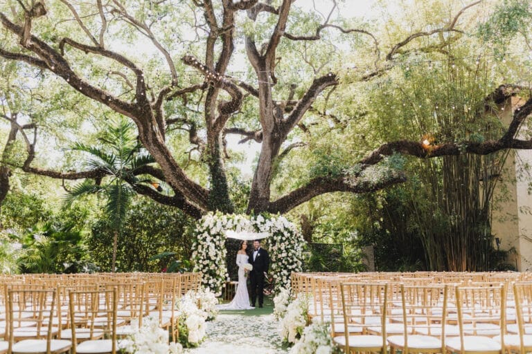 Outdoor wedding ceremony setup under a large tree, featuring a floral arch, white chairs, and lush greenery. The scene is bright and inviting, with string lights hanging above.